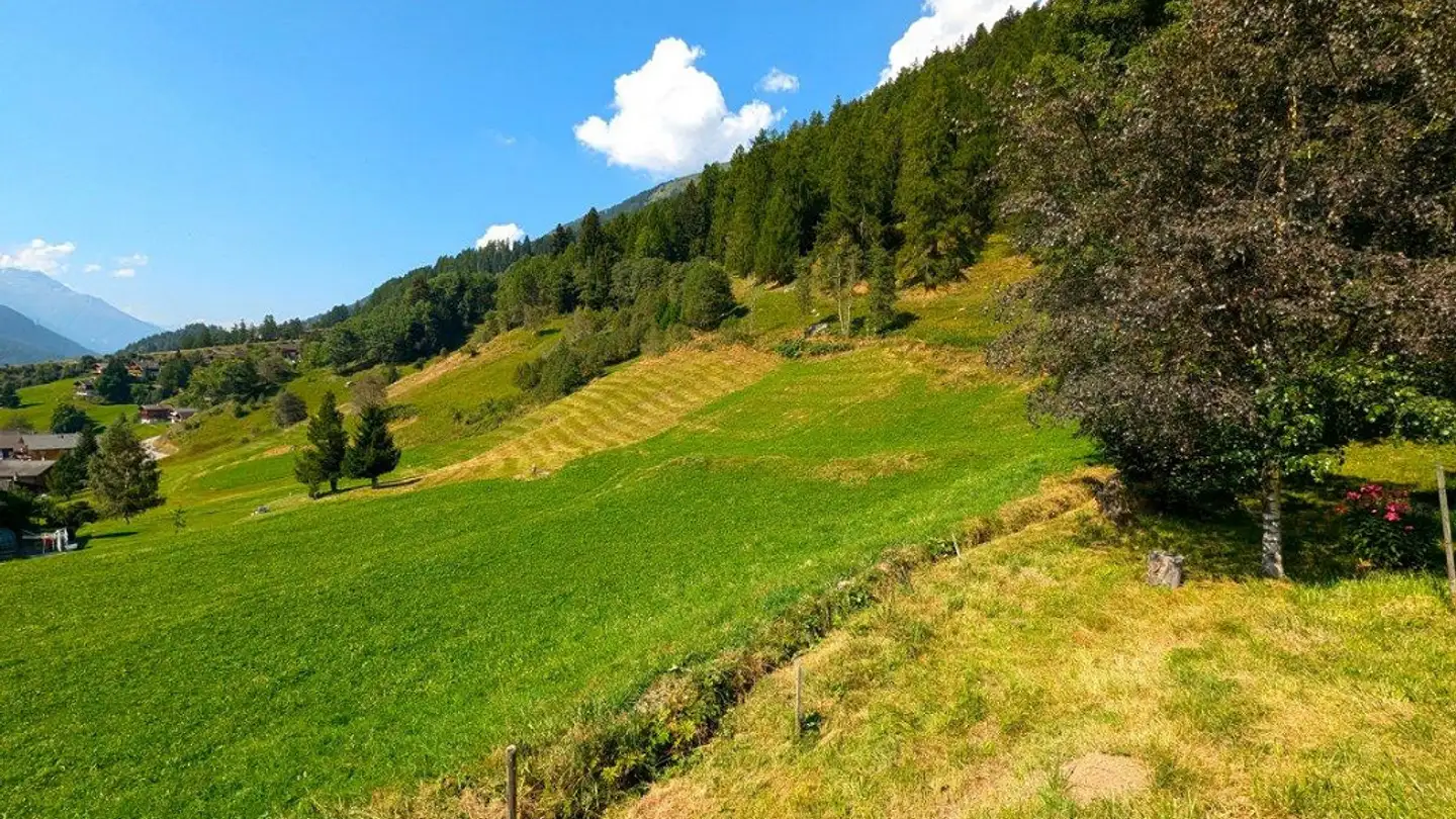 Constructible plot for sale - 3989 Niederwald - Photo 4
