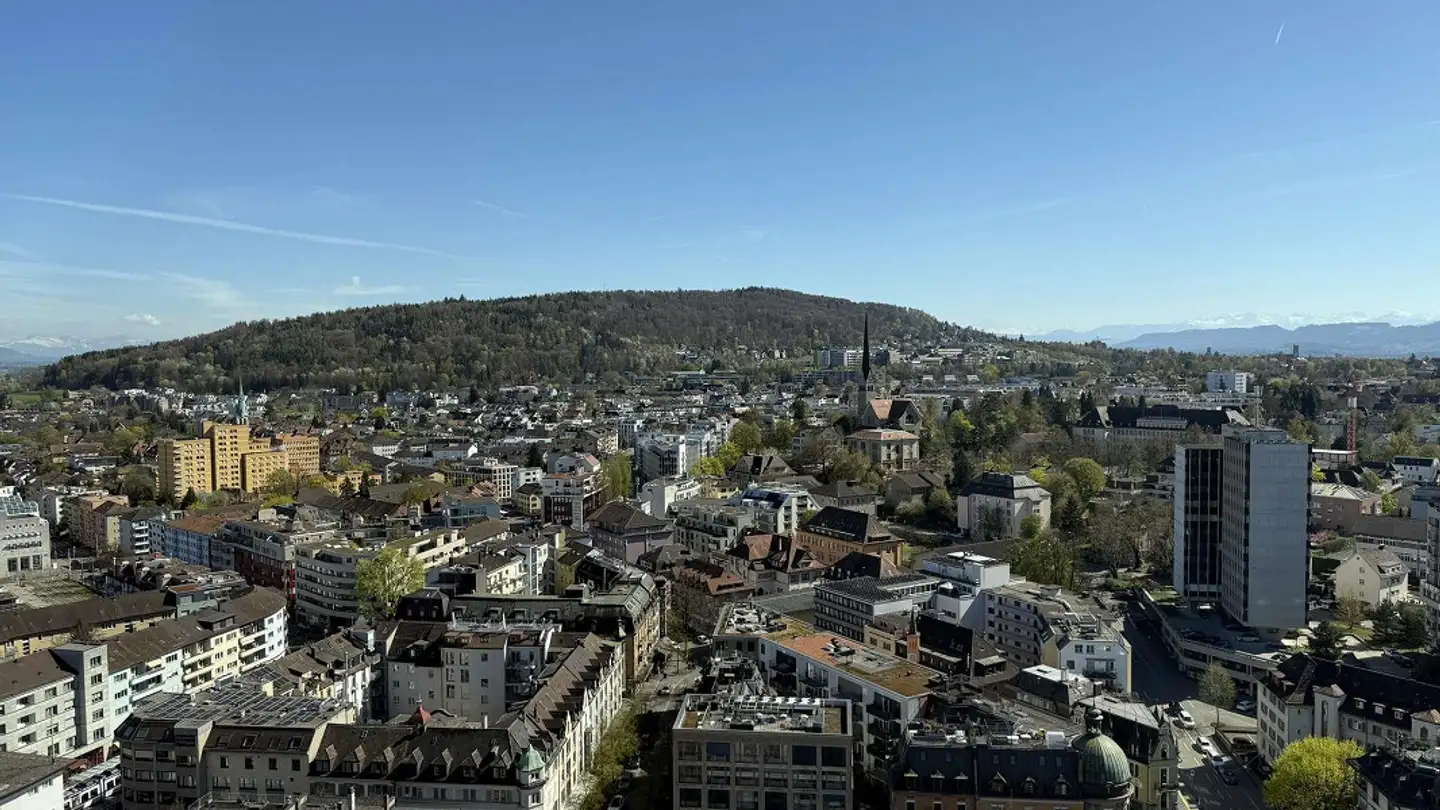 Appartamento in affitto - Hofwiesenstrasse 360, 8050 Zürich