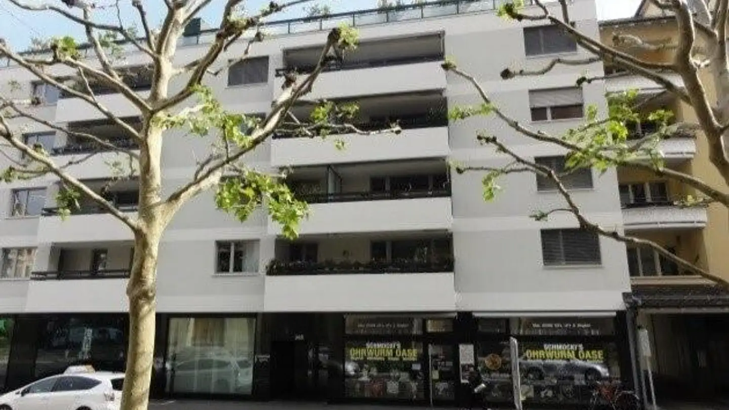 Appartement à louer - Güterstrasse 265, 4053 Basel