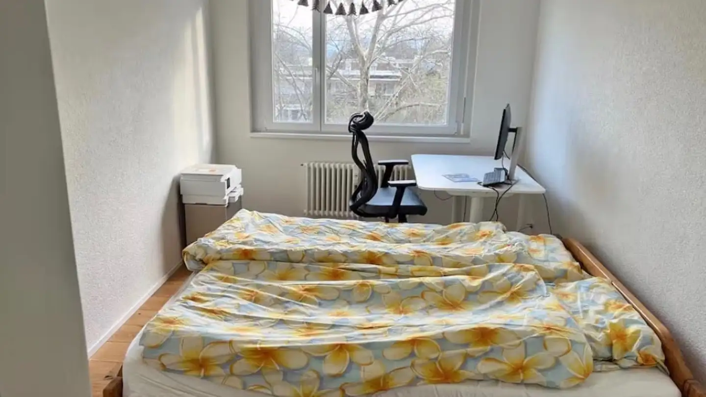 Wohnung mieten - Bollwerkstrasse 60, 4102 Binningen - Foto 4