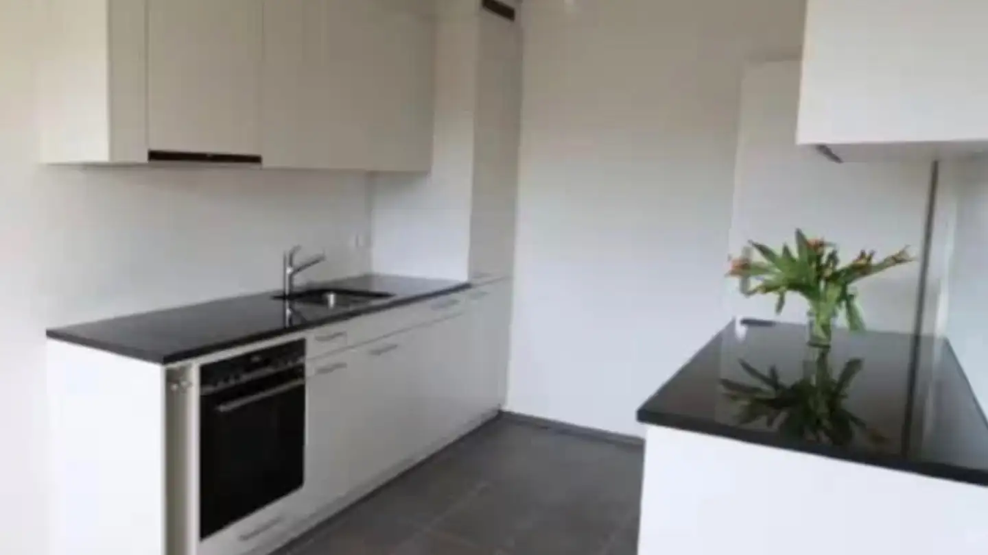 Wohnung mieten - Bollwerkstrasse 60, 4102 Binningen - Foto 2