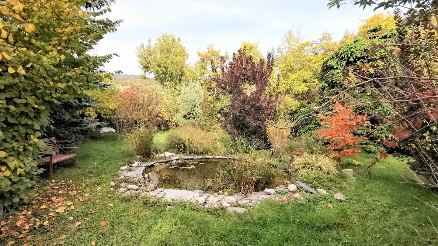 Einfamilienhaus kaufen - 1880 Bex - Foto 3