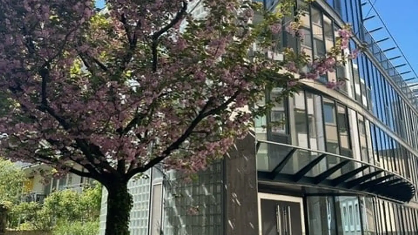 Bürofläche mieten - Alte Feldeggstrasse 14, 8008 Zürich