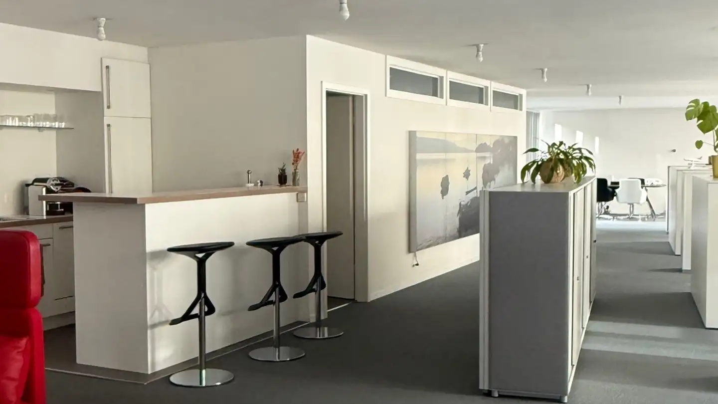 Bürofläche mieten - Alte Feldeggstrasse 14, 8008 Zürich - Foto 3