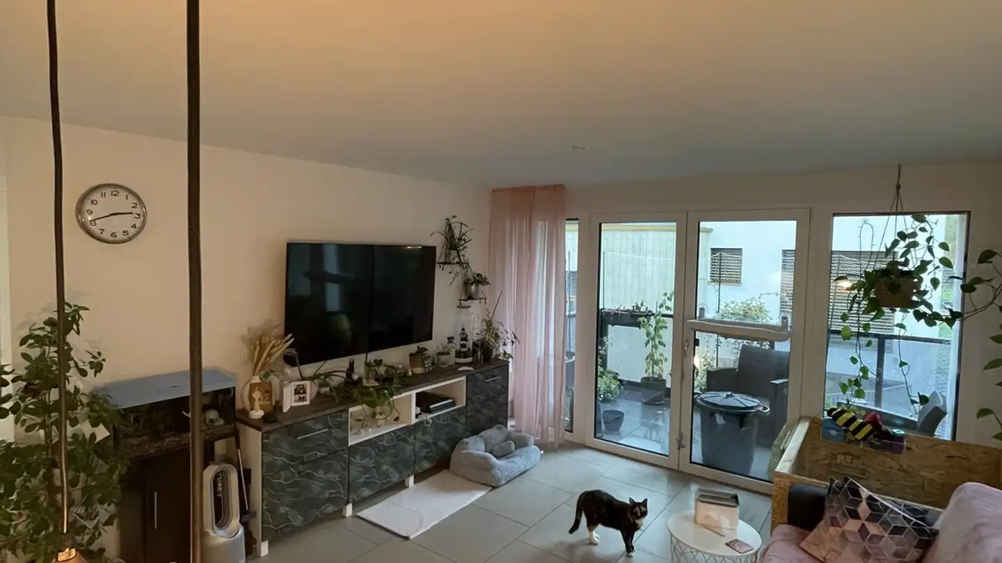 Appartement à louer - Zürcherstrasse 14, 8620 Wetzikon ZH