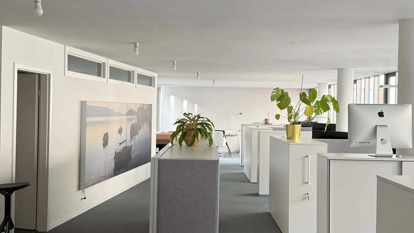 Bürofläche mieten - Alte Feldeggstrasse 14, 8008 Zürich - Foto 4