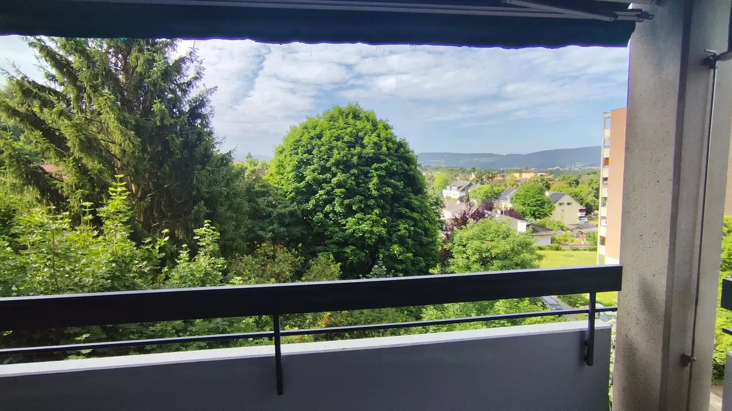 Appartement à louer - Lehengasse 35, 4142 Münchenstein - Photo 2