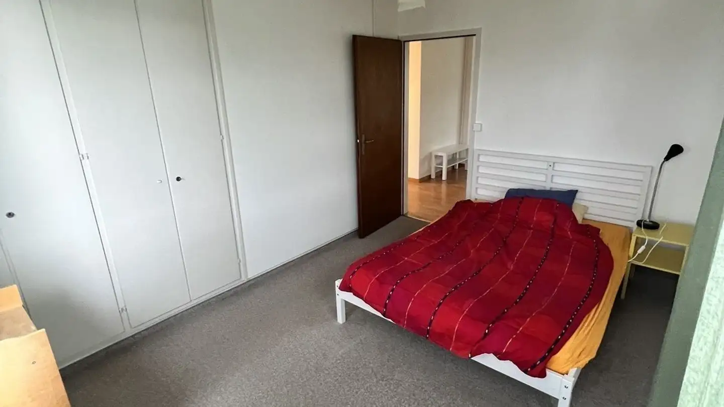 Chambre à louer - 8050 Zürich - Photo 3