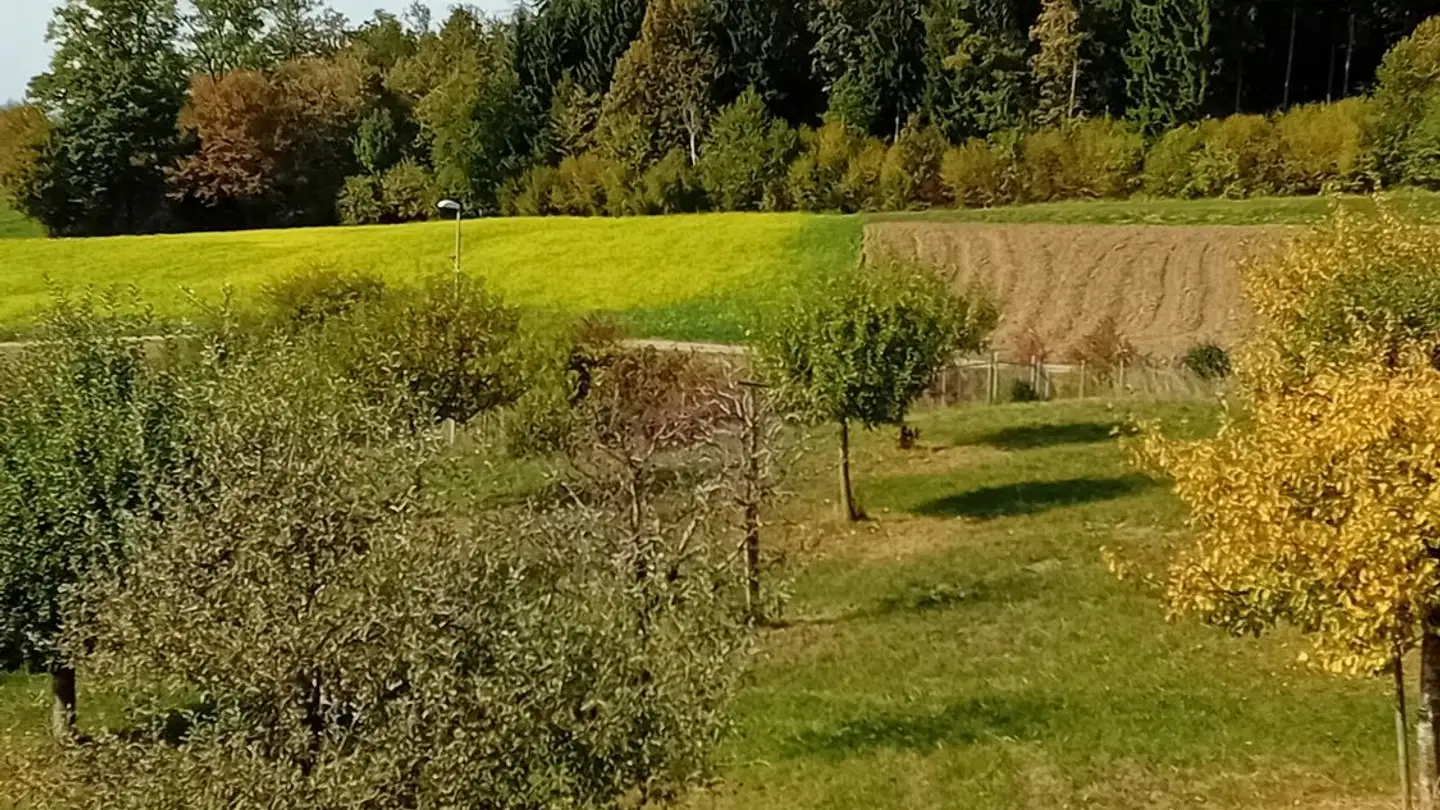 Chambre à louer - Lettenstrasse 29, 8966 Oberwil-Lieli - Photo 2