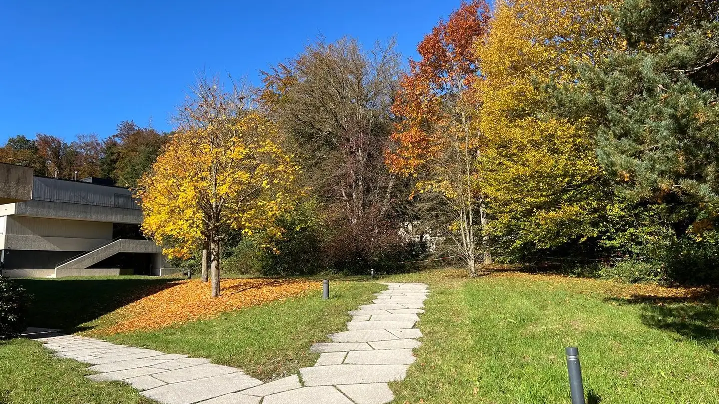 Appartamento a gradini in vendita - In Der Letzi, 8700 Küsnacht ZH - Photo 3