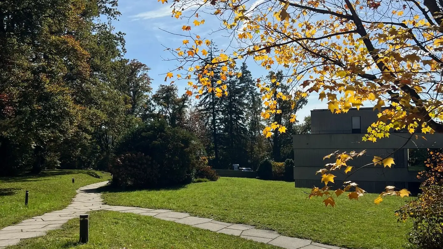 Appartamento a gradini in vendita - In Der Letzi, 8700 Küsnacht ZH - Photo 4