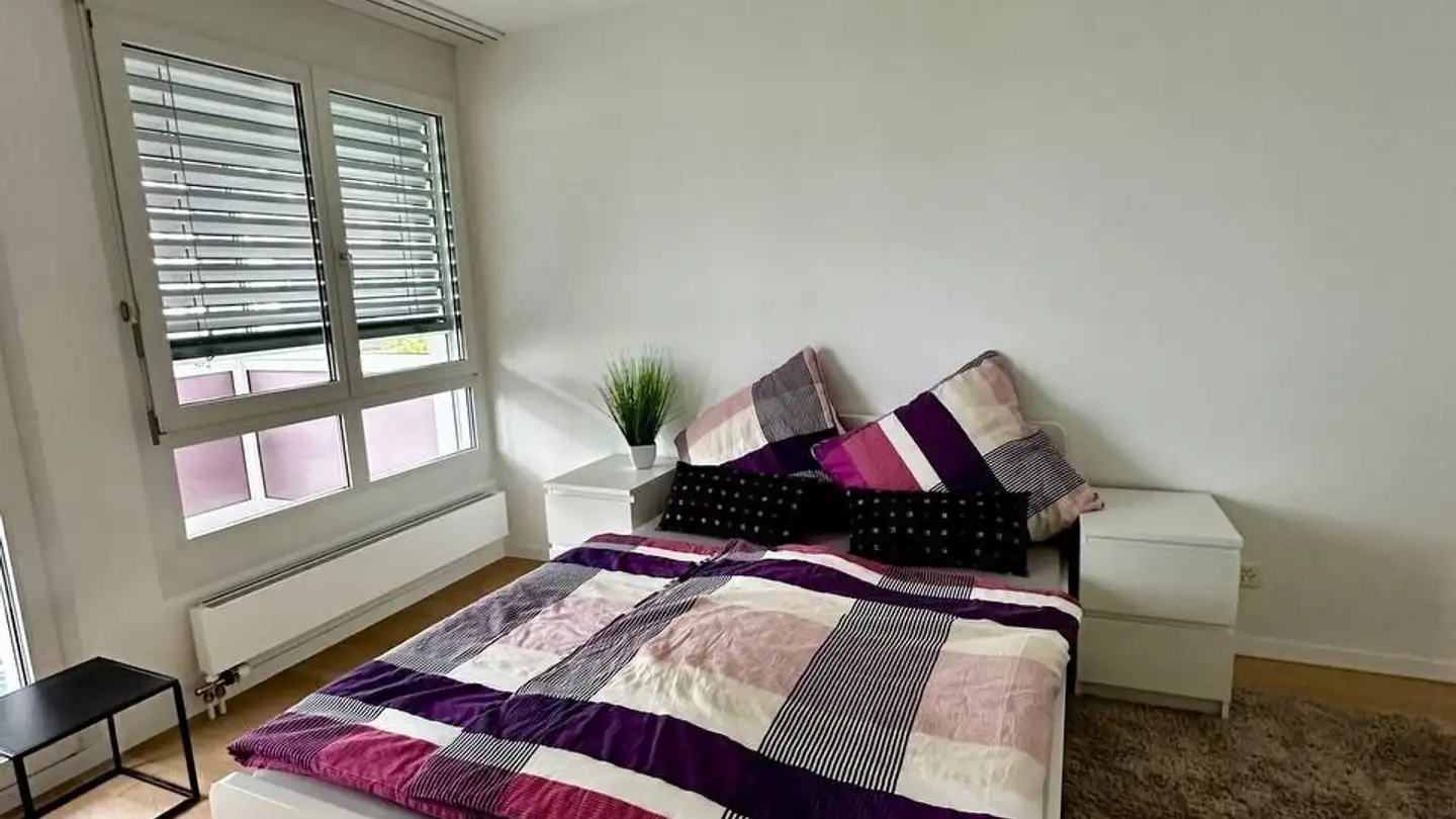 Furnished apartment for rent - 8246 Langwiesen