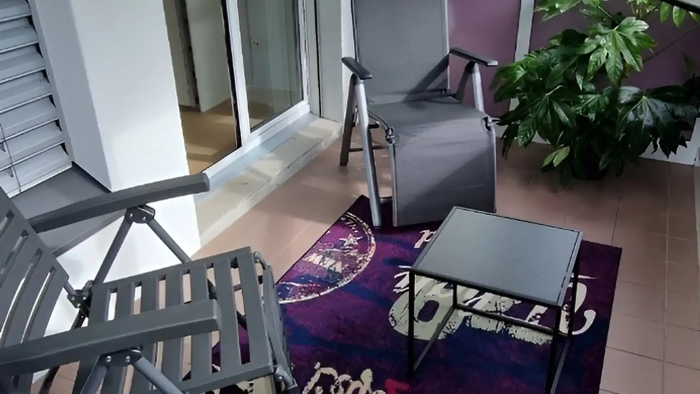 Furnished apartment for rent - 8246 Langwiesen - Photo 4
