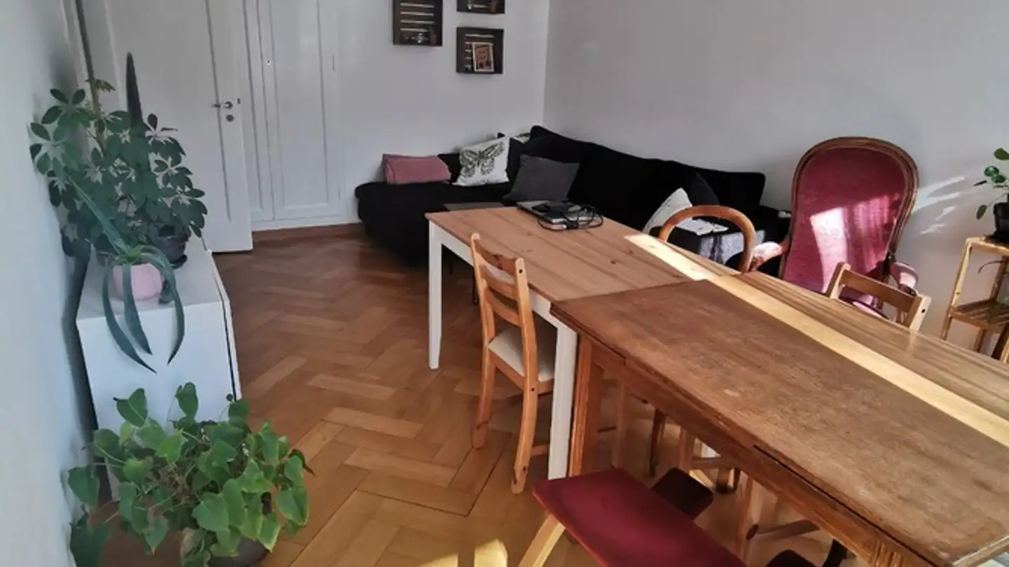 Stanza singola in affitto - 3007 Bern - Foto 3