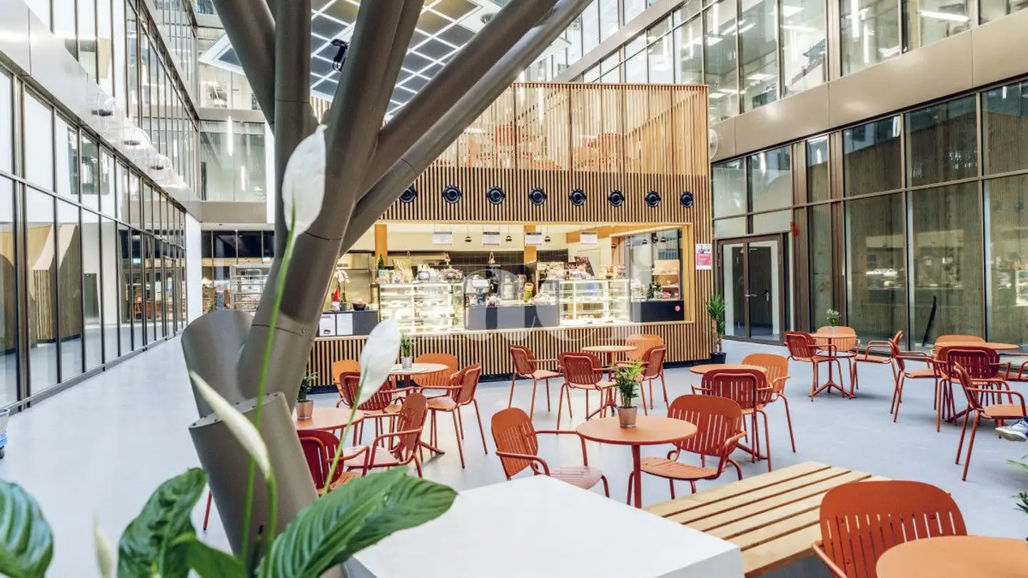 Arcade for rent - Chemin Du Champ-Des-Filles 4, 1228 Plan-les-Ouates - Photo 2