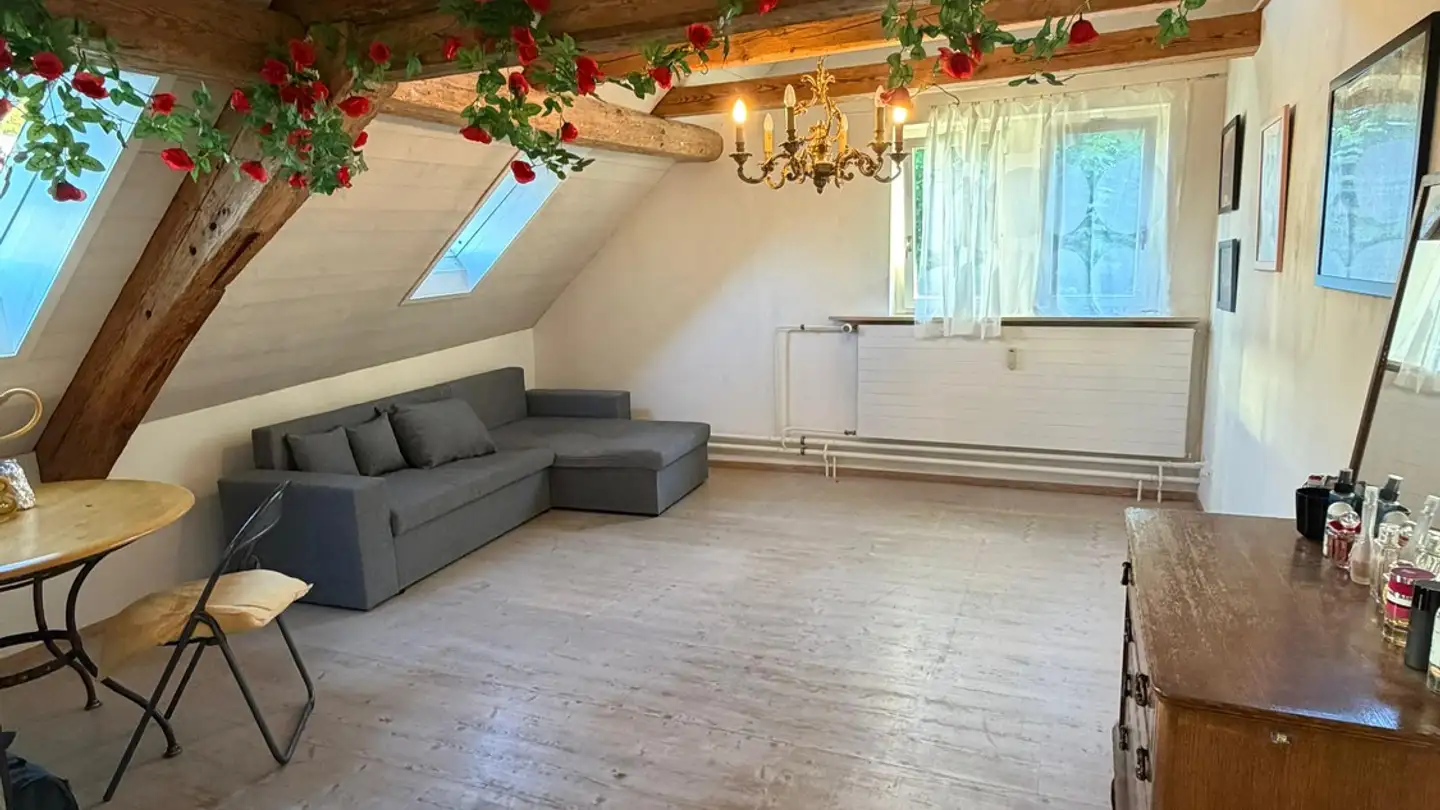 Appartamento in affitto - 8400 Winterthur
