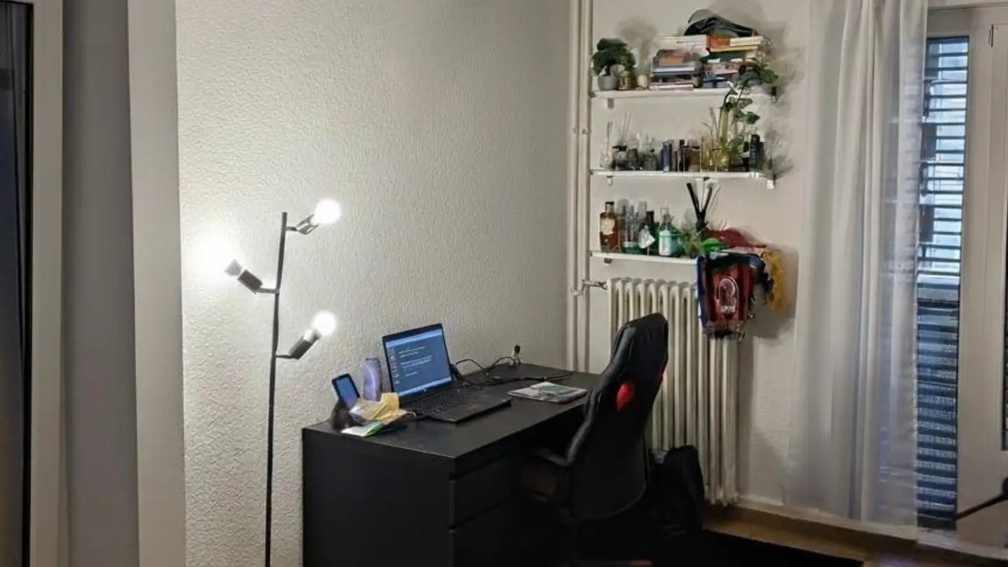 Chambre à louer - 8002 Zürich - Photo 3