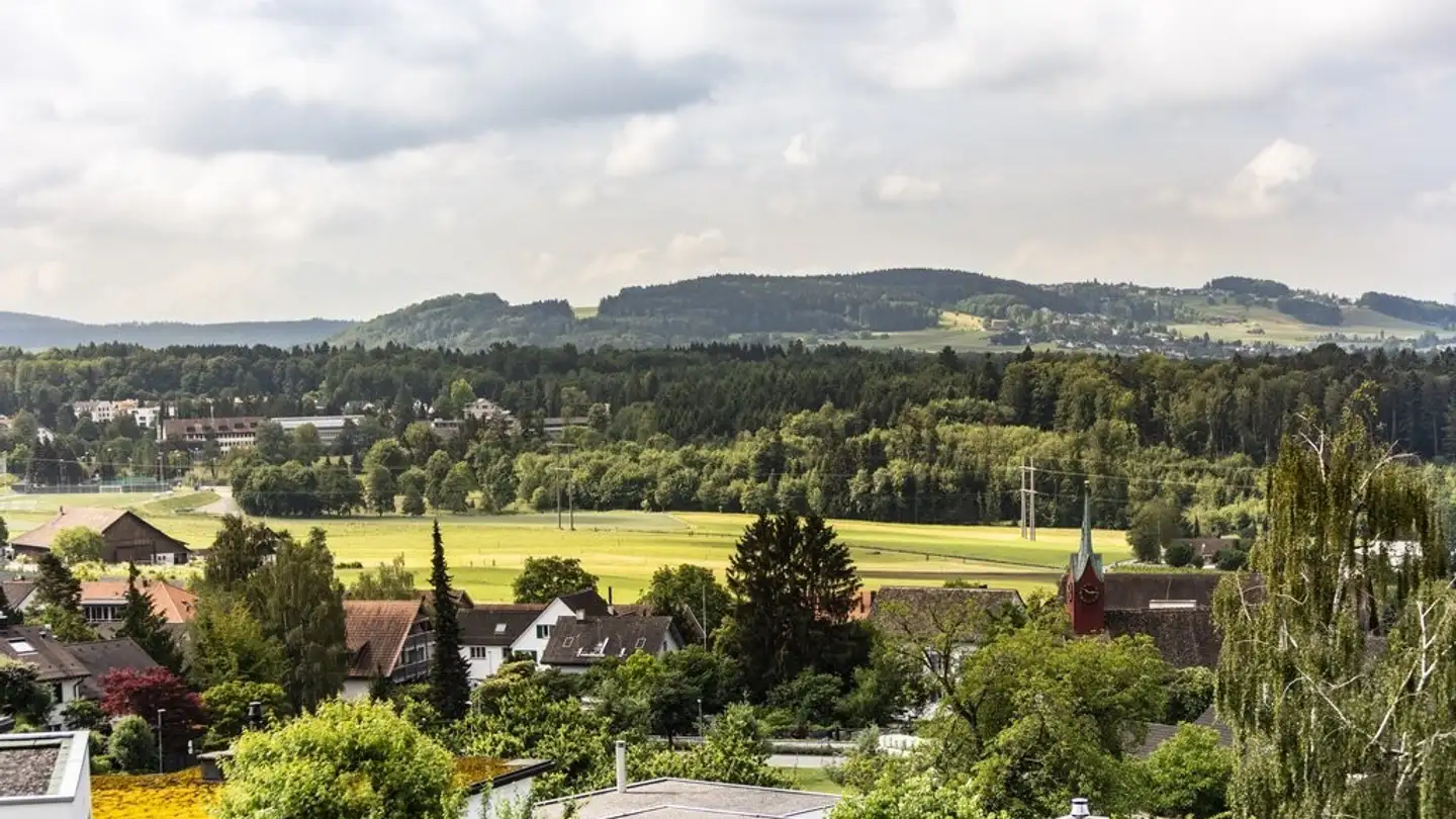 Duplex in affitto - Haldenstrasse 49b, 8142 Uitikon Waldegg - Photo 3