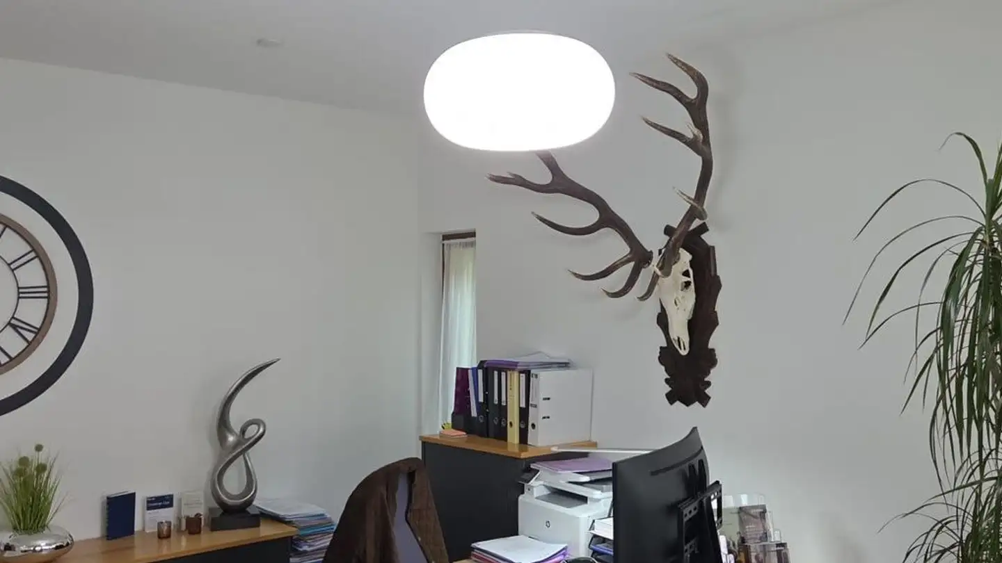 Commercial for rent - Bahnhofstrasse 21, 3940 Steg VS - Photo 4