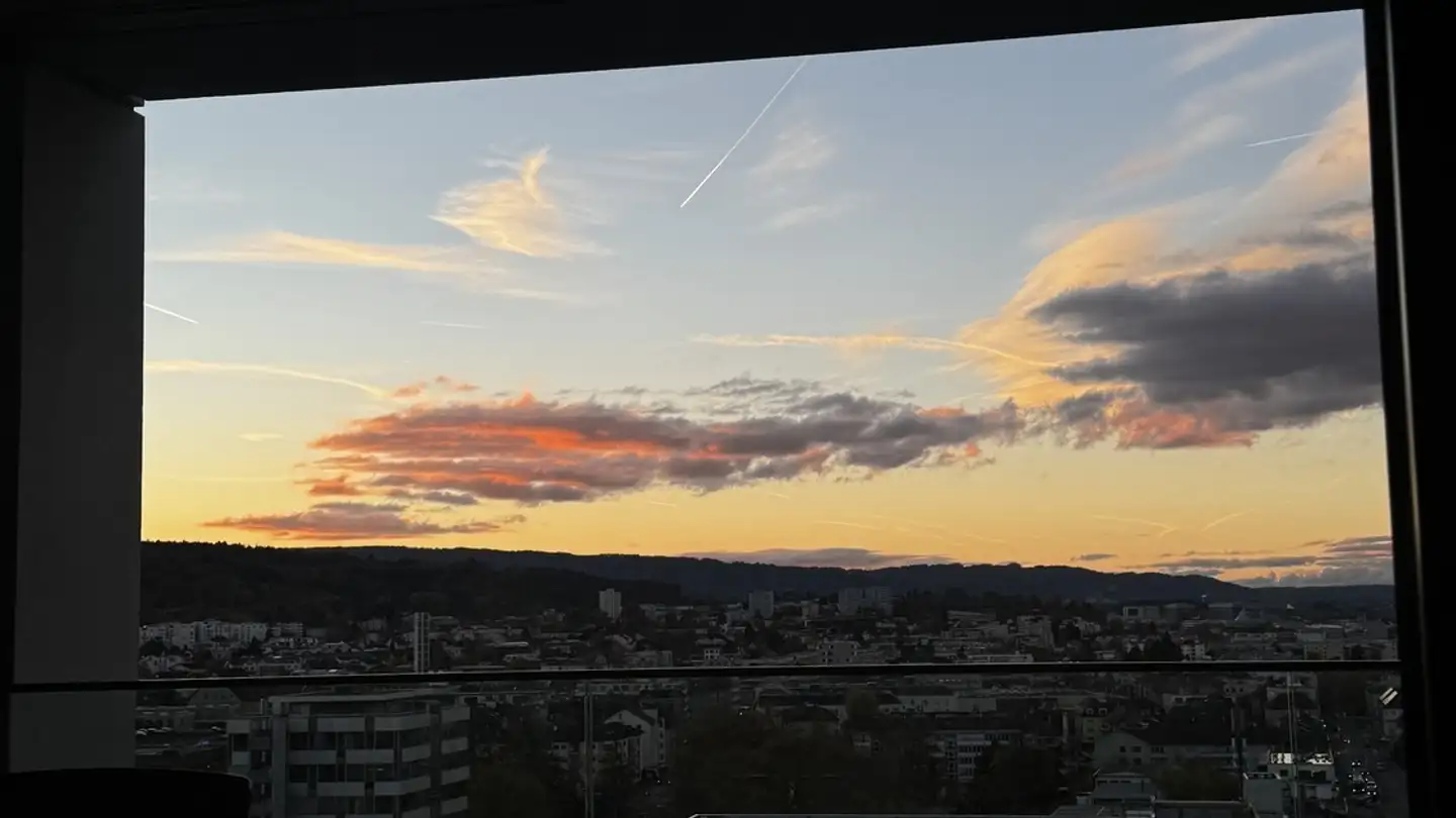 Chambre à louer - Baslerstrasse 77, 8048 Zürich - Photo 4