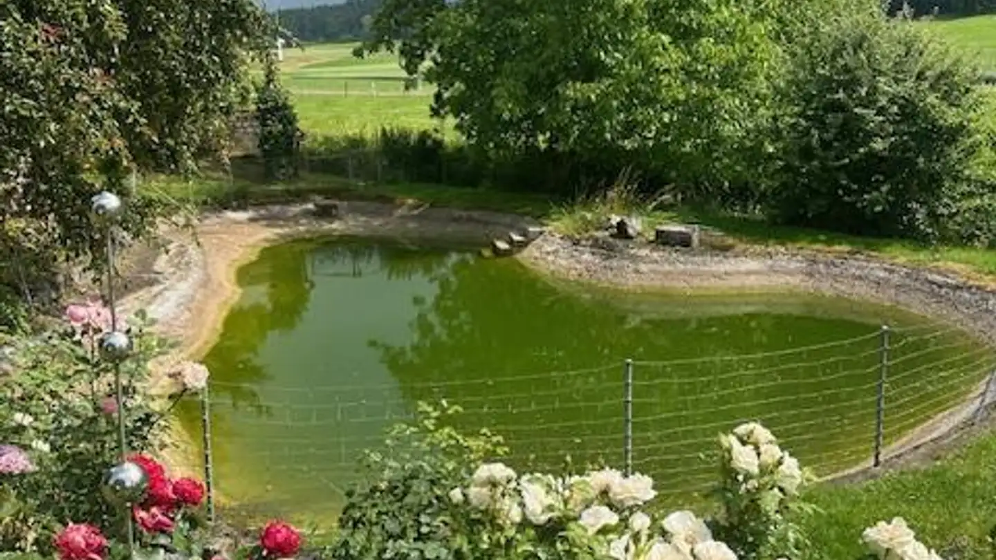 Casa singola in affitto - 8353 Elgg - Foto 2