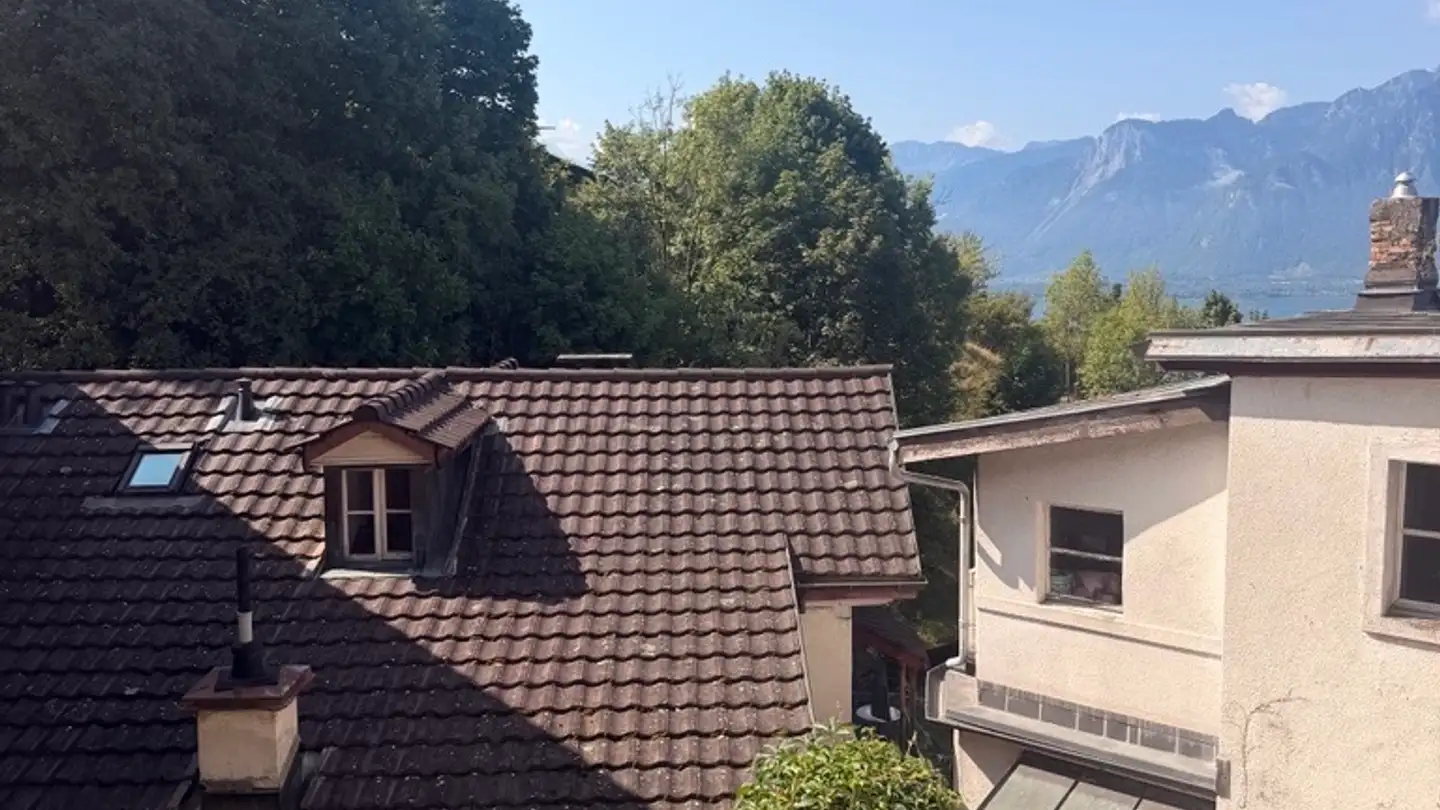 Apartment for rent - Chemin De La Boriodaz 14, 1820 Montreux - Photo 4