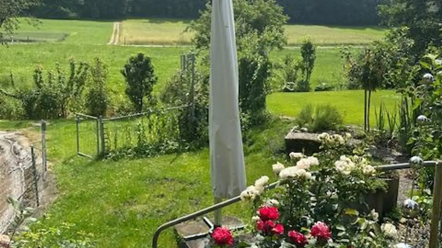 Casa singola in affitto - 8353 Elgg - Foto 3