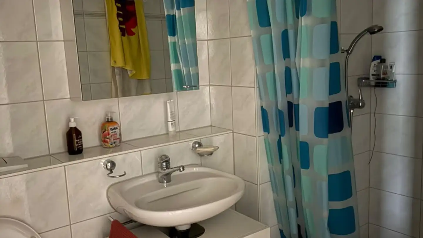 Stanza singola in affitto - Schaffhauserstrasse, 8052 Zürich - Foto 2