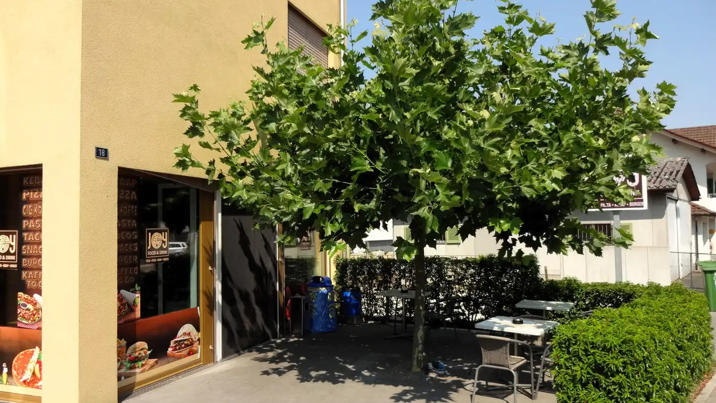 Restaurant à vendre - 5737 Menziken - Photo 2