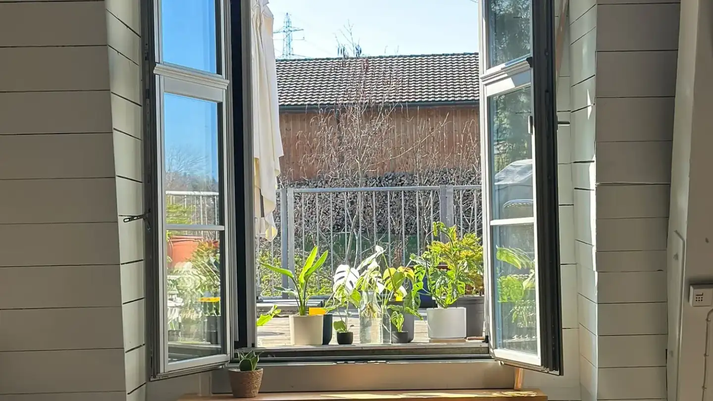 Stanza singola in affitto - Austrasse 26, 9055 Bühler - Foto 3