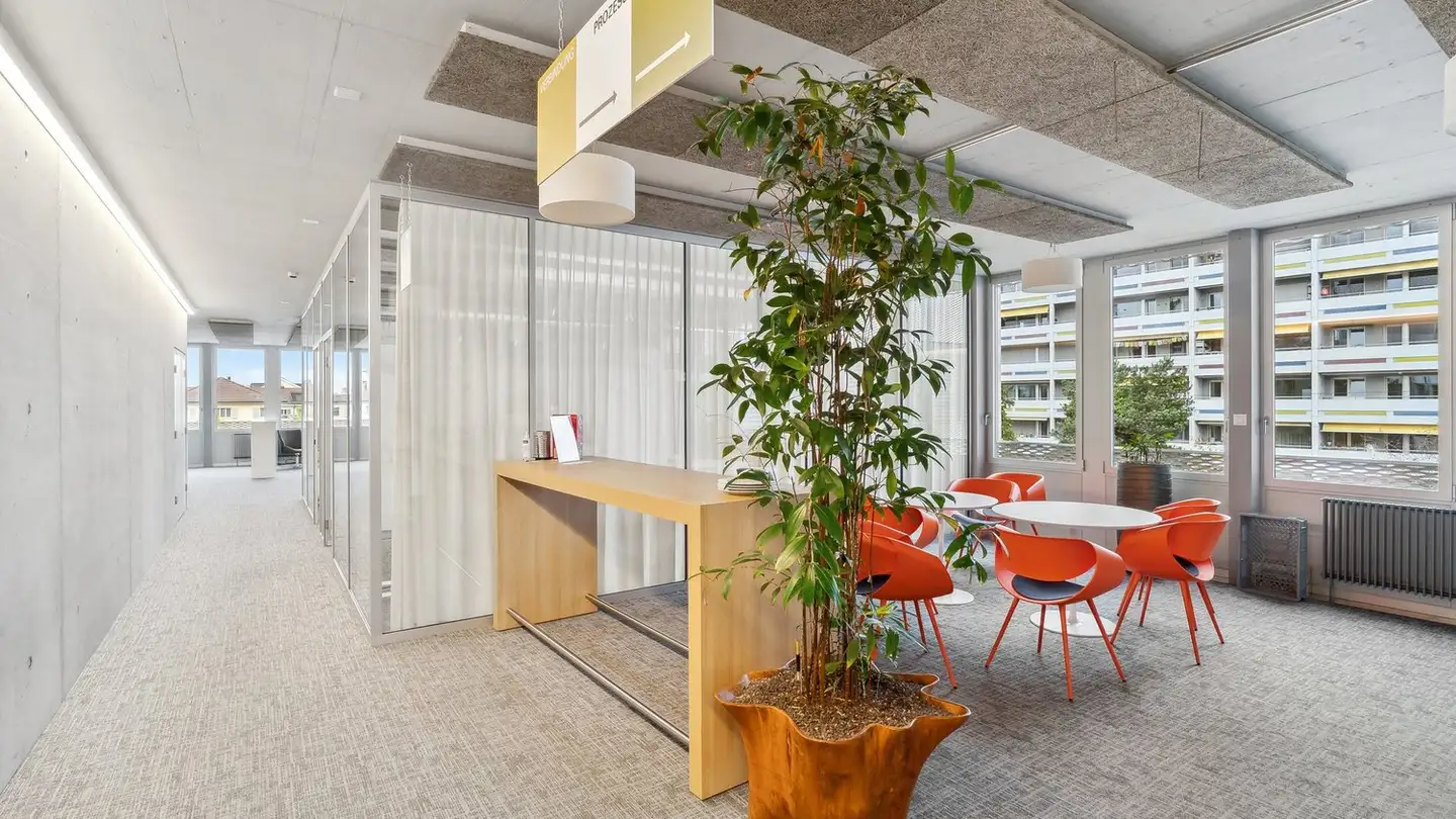 Spazio ufficio in affitto - Sägemattstrasse 1, 3098 Köniz - Foto 3