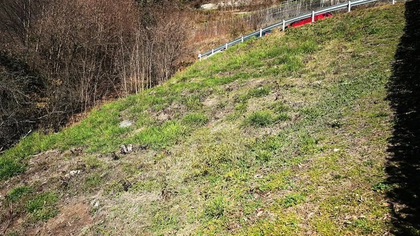 Constructible plot for sale - 6516 Cugnasco - Photo 3