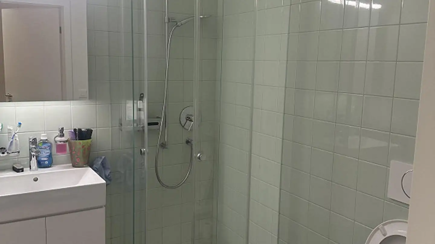 Apartment for rent - Brauiplatz 2, 6280 Hochdorf - Photo 2