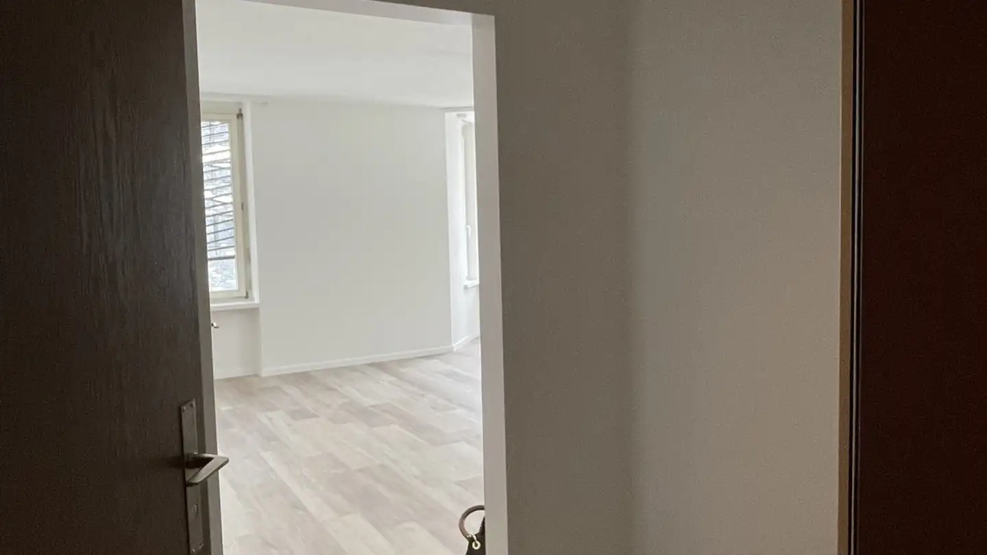Appartement à louer - Untere Briggerstrasse 45, 8406 Winterthur - Photo 2