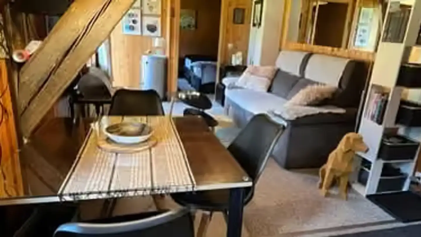 Appartamento ammobiliato in affitto - Le Vernex 18, 1865 Les Diablerets - Foto 3