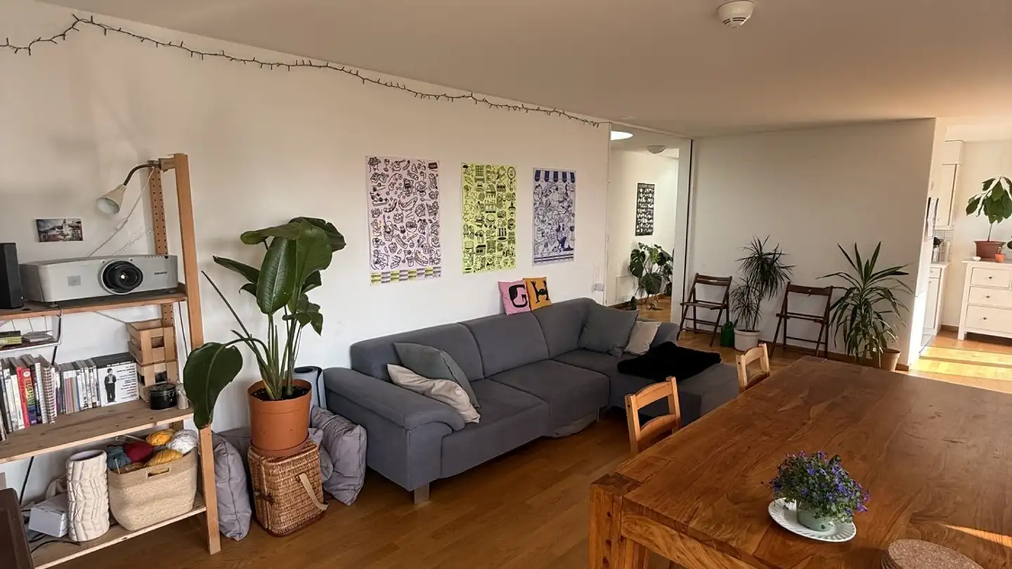 Stanza singola in affitto - 8702 Zollikon