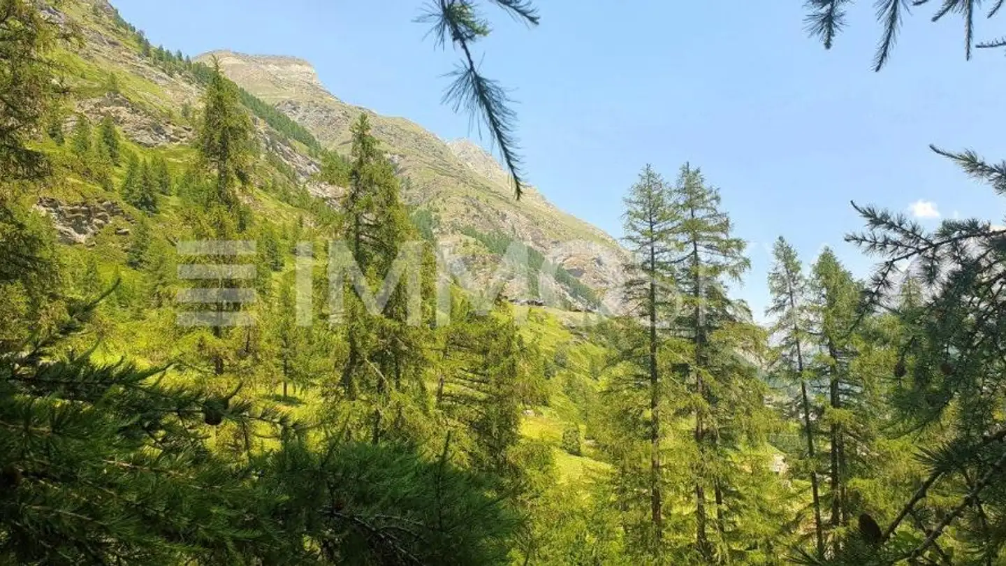 Bauland kaufen - 3920 Zermatt - Foto 4