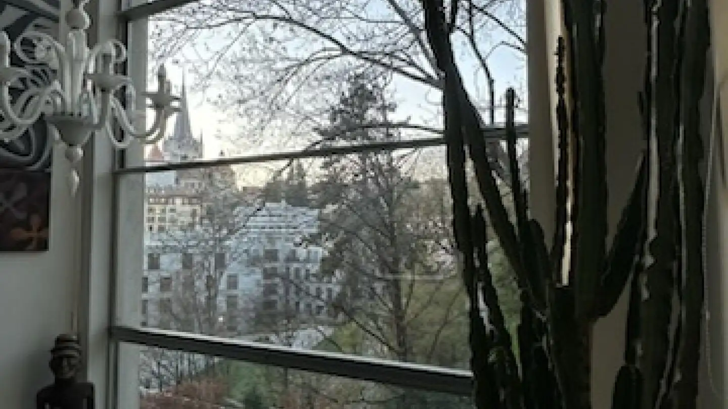 Apartment for sale - Rue Caroline 15a, 1003 Lausanne - Photo 4