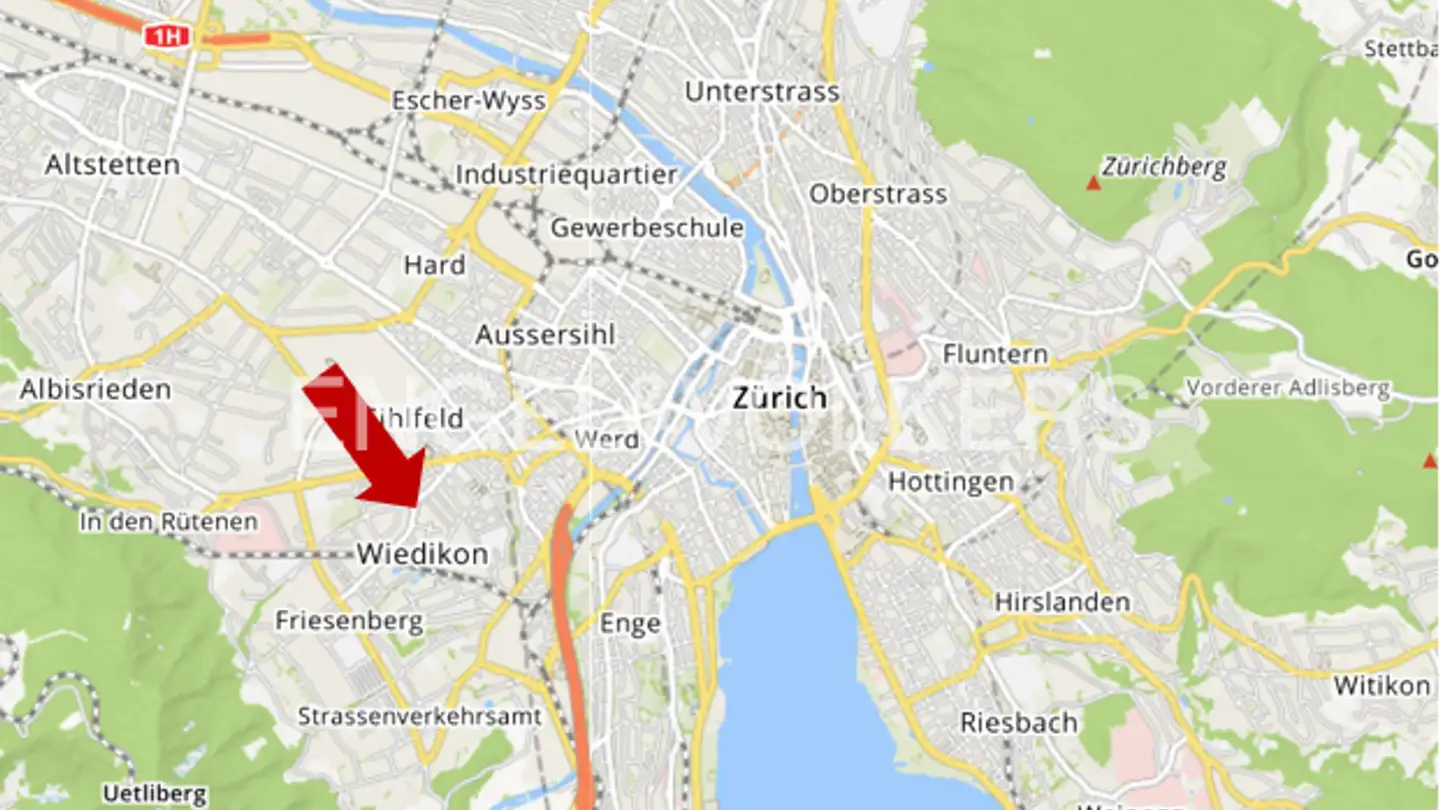 Duplex in vendita - 8055 Zürich - Photo 4