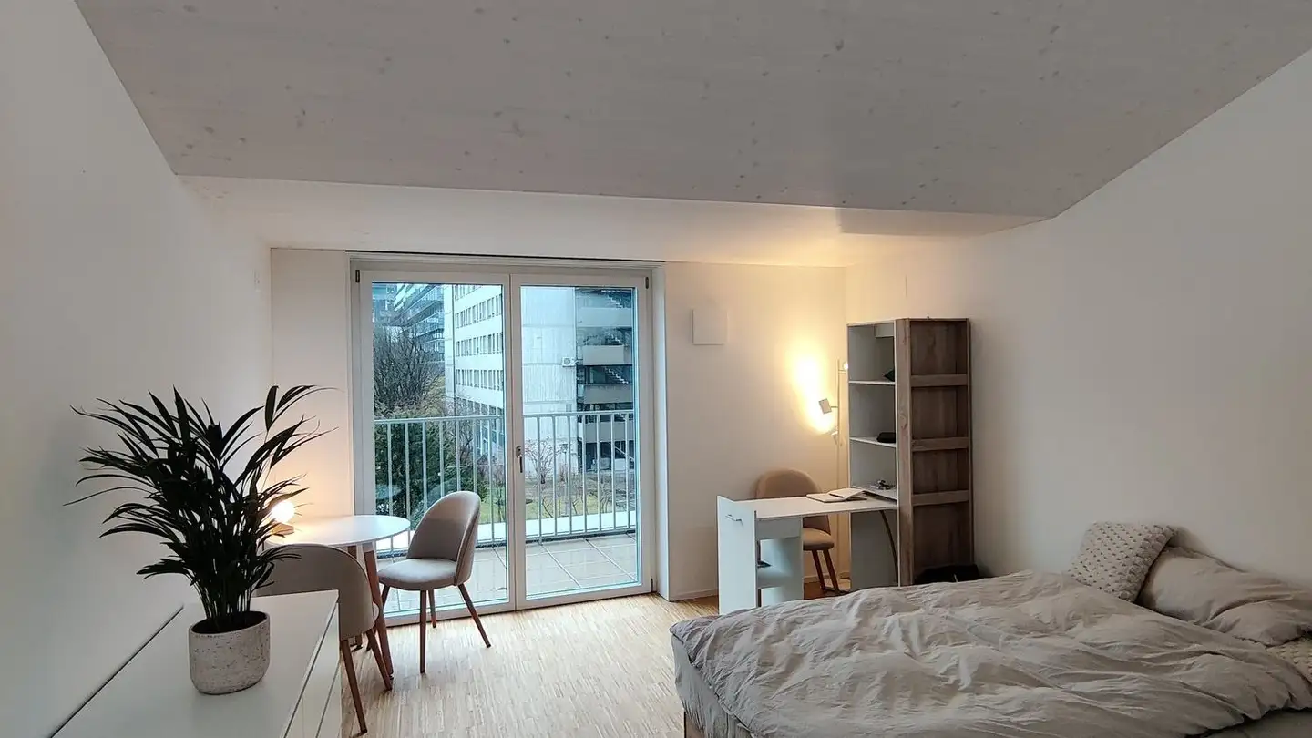 Studio à louer - Birmensdorferstrasse 485, 8055 Zürich