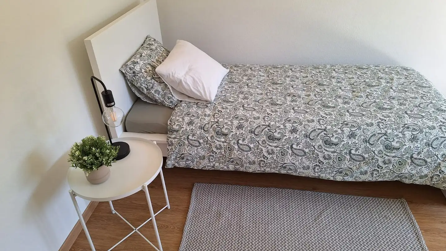 Chambre à louer - 8050 Zürich