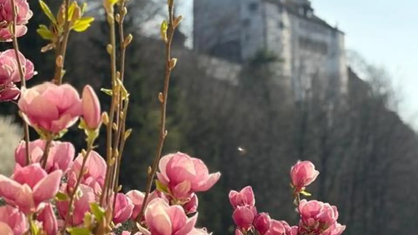 Apartment for rent - 5113 Holderbank AG - Photo 2