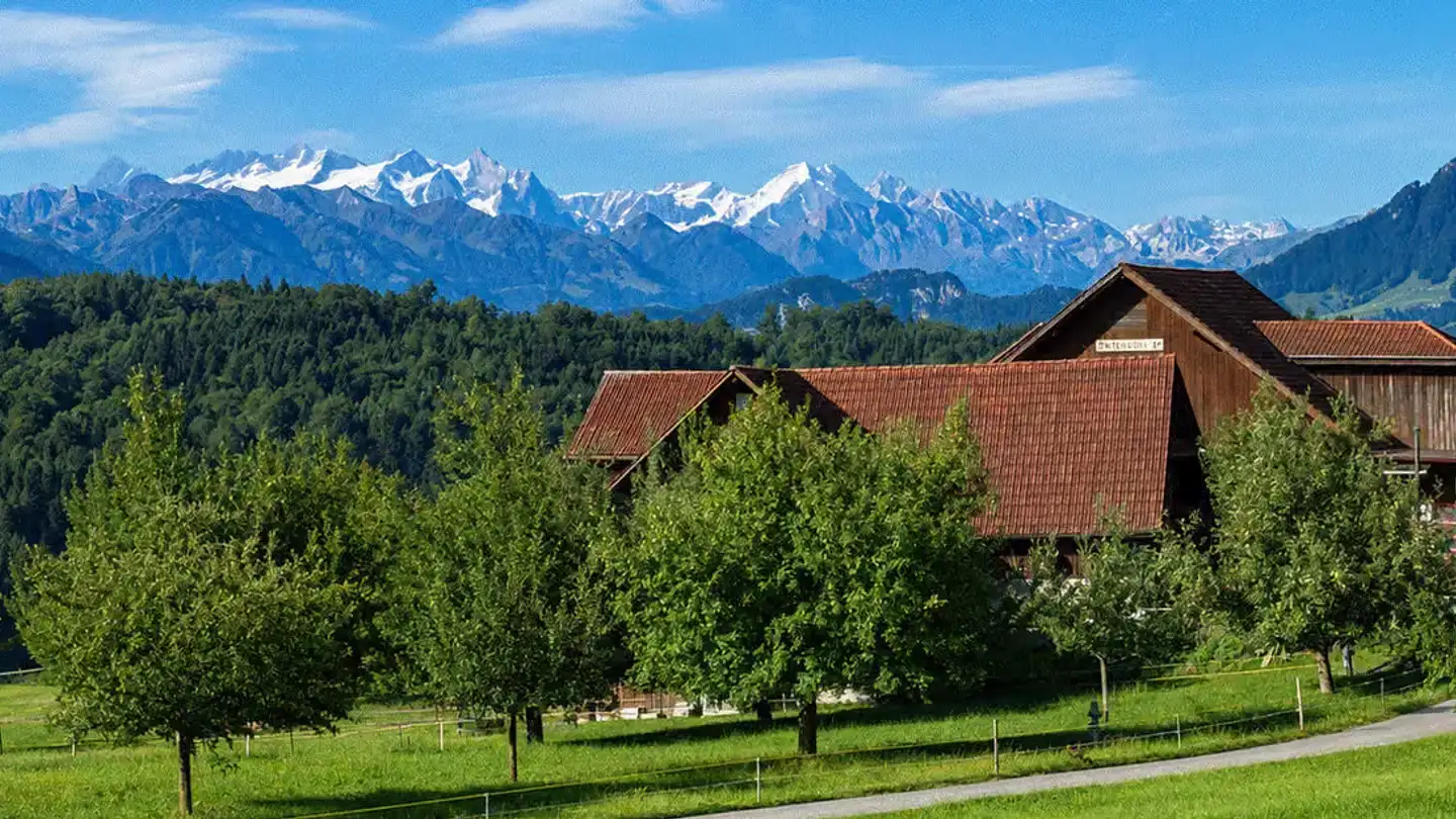 Edificio residenziale in vendita - Schönaustrasse 22, 6044 Udligenswil - Foto 3