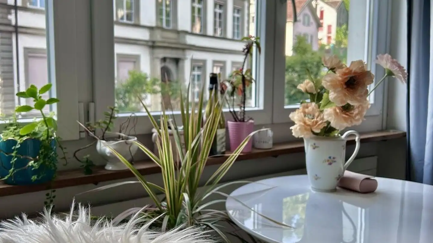 Wohnung mieten - Schützengraben 9, 8200 Schaffhausen