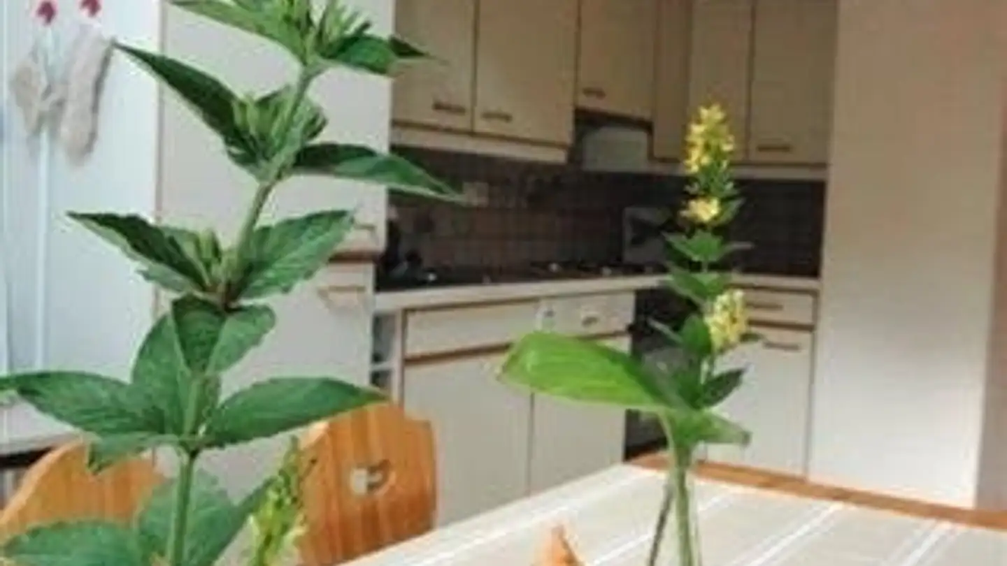 Apartment for rent - La Combe 49, 2889 Ocourt - Photo 3