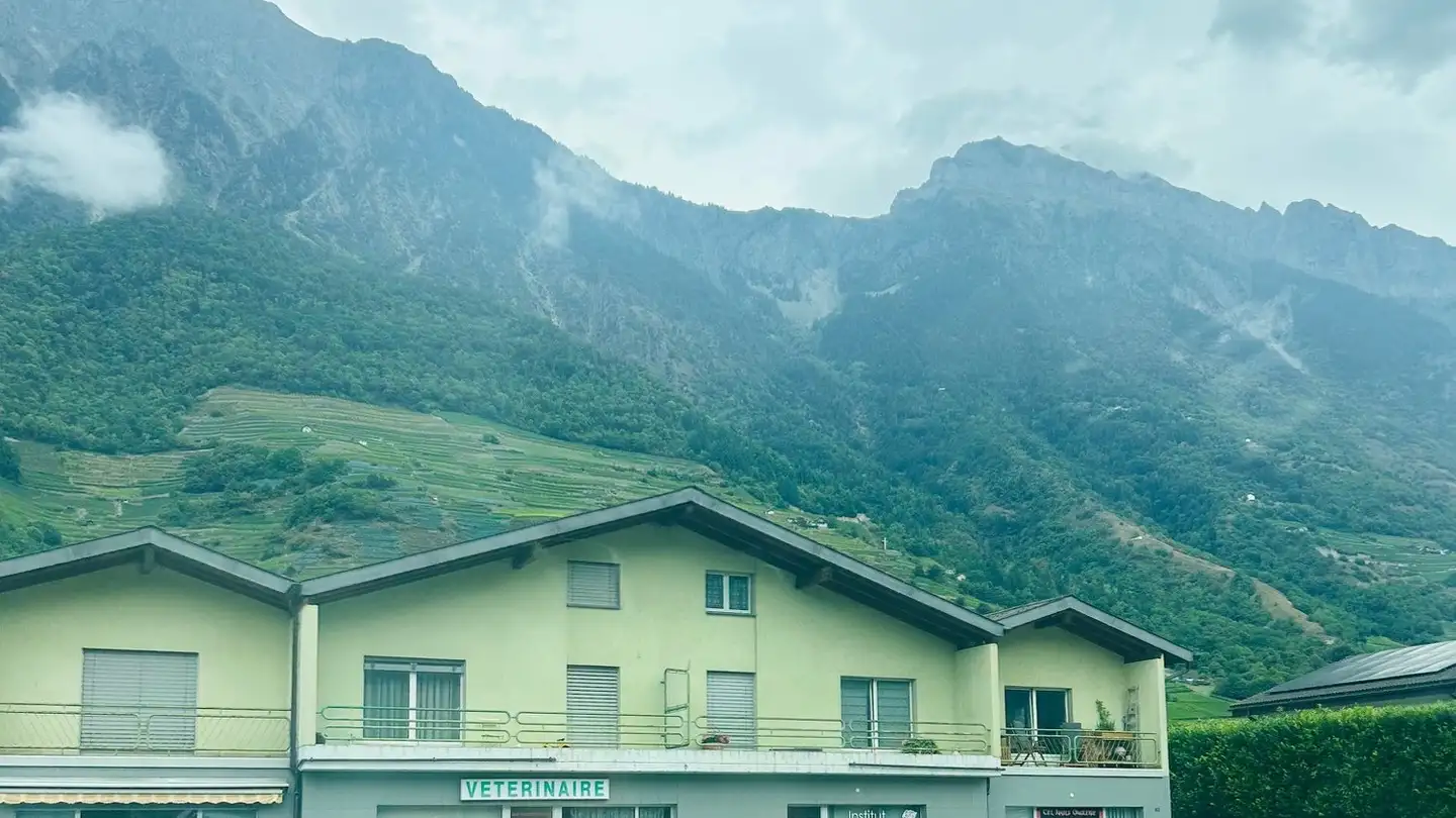 Appartement à vendre - Rue Du Stade 98, 1926 Fully