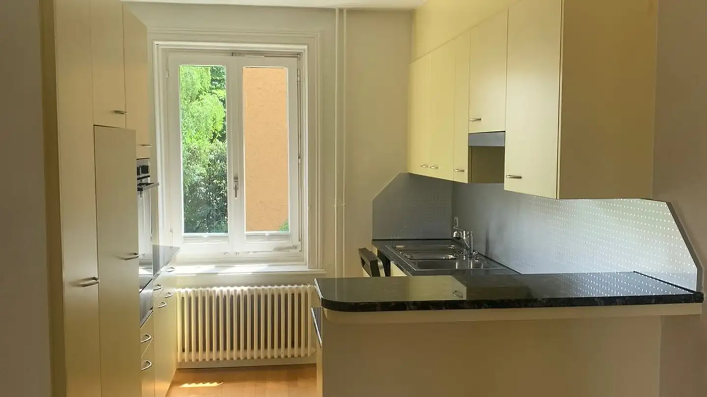 Chambre à louer - Asylstrasse, 8953 Dietikon - Photo 2