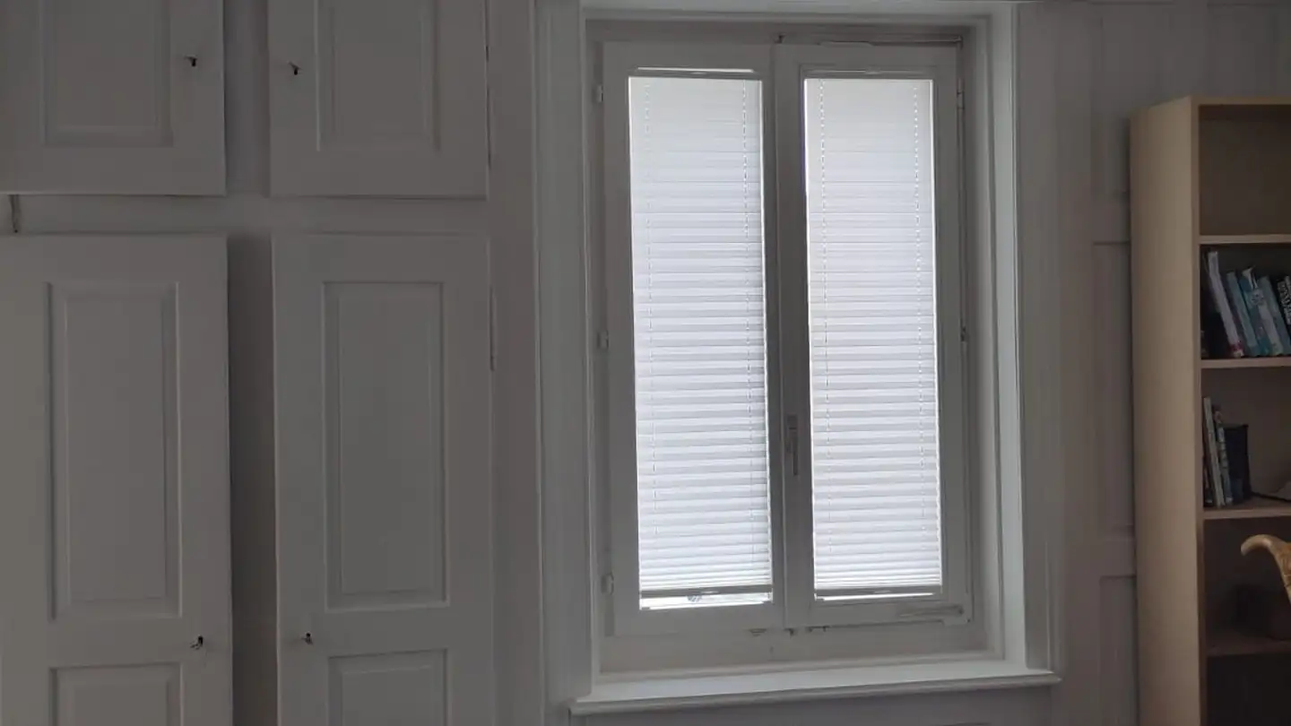 Chambre à louer - Asylstrasse, 8953 Dietikon - Photo 3