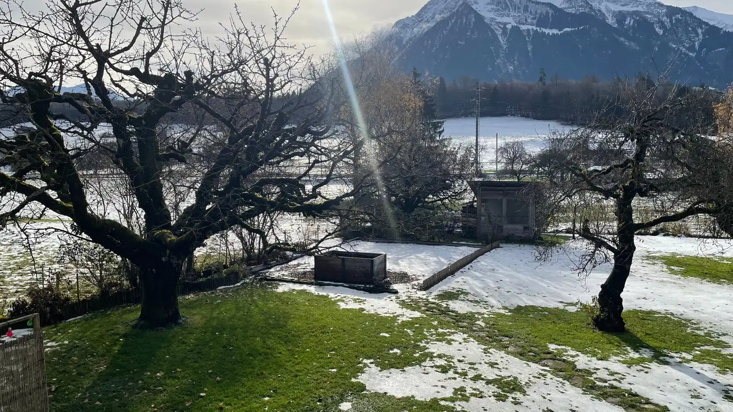 Appartamento in affitto - Lattigen, 3700 Spiez - Photo 2