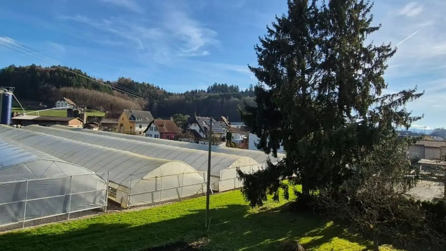 Appartamento in affitto - Untere Hauptstrasse 2, 4665 Oftringen - Foto 2